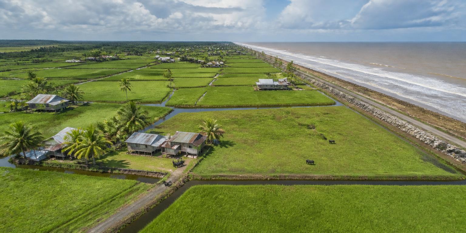 Panoramic view of Coastal farmland in Guyana